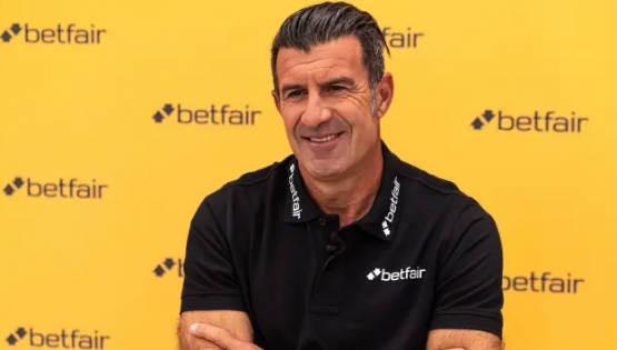 他们是拥有 他们是拥有